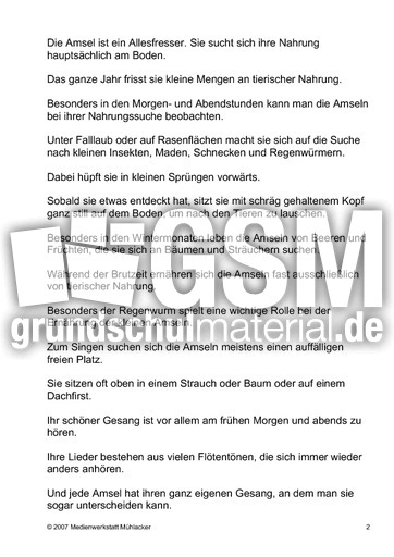 Die-Amsel-Text-2.pdf